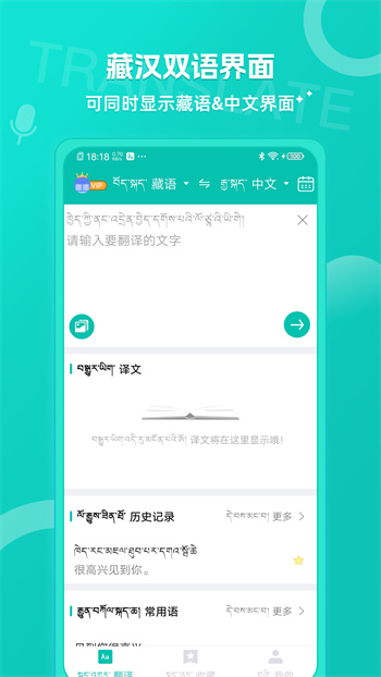 藏英翻譯軟件手機(jī)版 v6.3.0 安卓版 1
