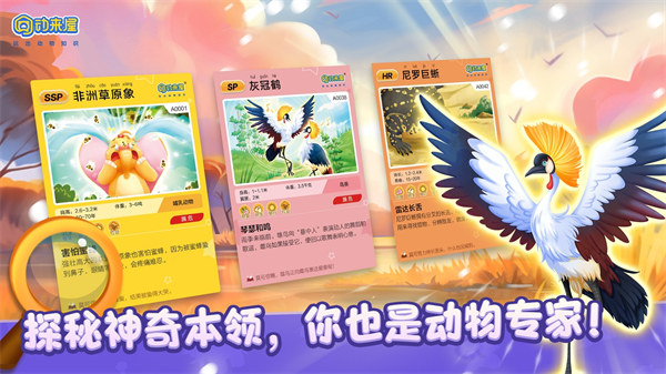 動(dòng)來屋 v2.5.3 安卓版 3