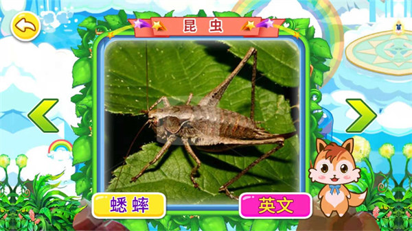 寶寶兒童動物世界手機版 v3.78.47c 安卓版 0