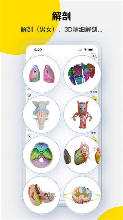 3dbody三維免費人體解剖軟件 v8.8.44 安卓版 1
