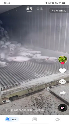 看視頻賺零花 v1.0.0 安卓版 0