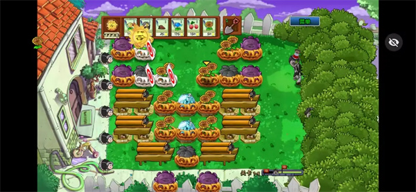 植物大戰(zhàn)僵尸ikun版 v1.1.1 安卓版 0