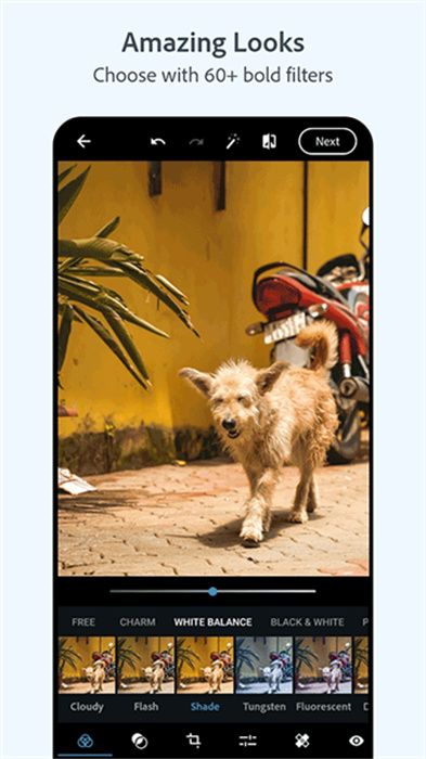 adobe Photoshop Express安裝 v16.5.255 官方免費安卓版 2