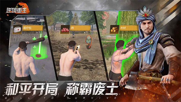 逆境重生 v0.12.8 手機(jī)版 4