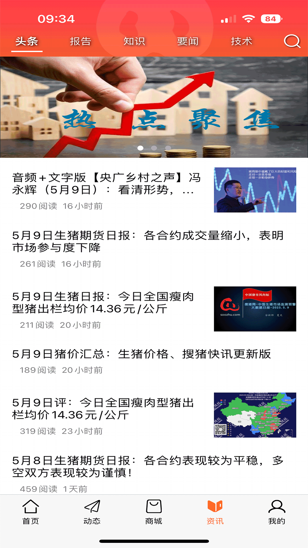 金豬 v1.3.10 最新版 1