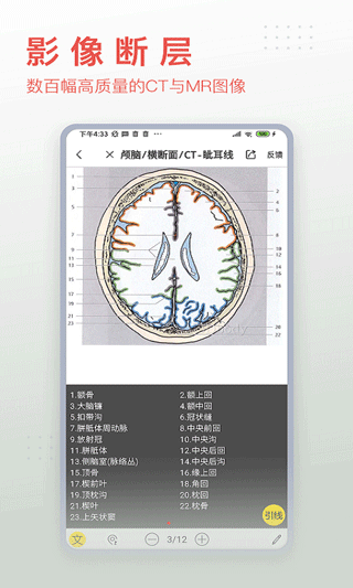 3dbody8.0中文正式版 v8.8.43 安卓版 2