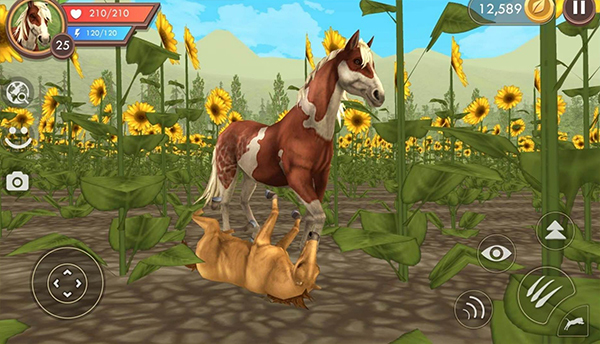 3D動物模擬器 v36.1 中文版 2