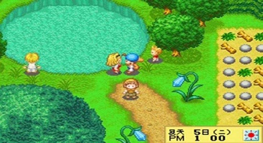 牧場(chǎng)物語精靈驛站女孩 v4.8.6.6 安卓版 2