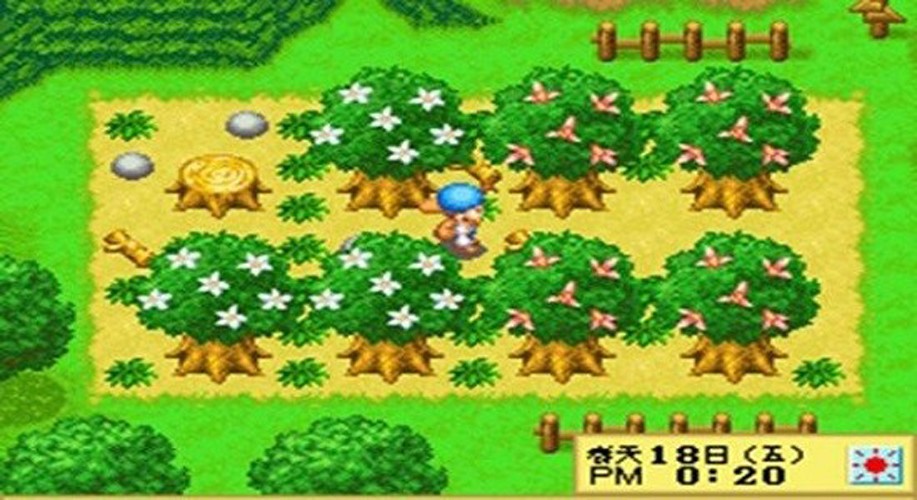 牧場(chǎng)物語精靈驛站女孩 v4.8.6.6 安卓版 1