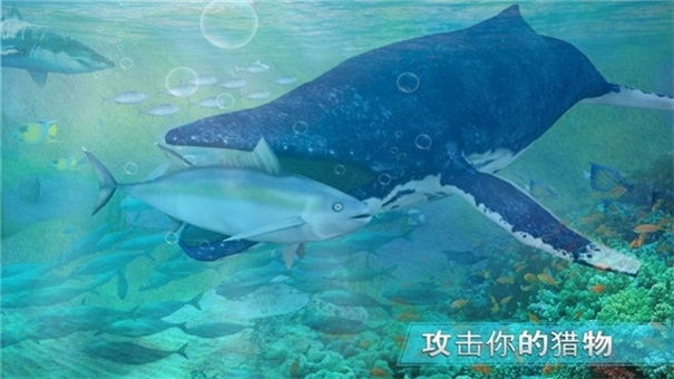 全民養(yǎng)鯊魚 v1.3 安卓版 1