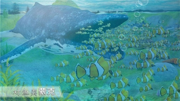 全民養(yǎng)鯊魚 v1.3 安卓版 2