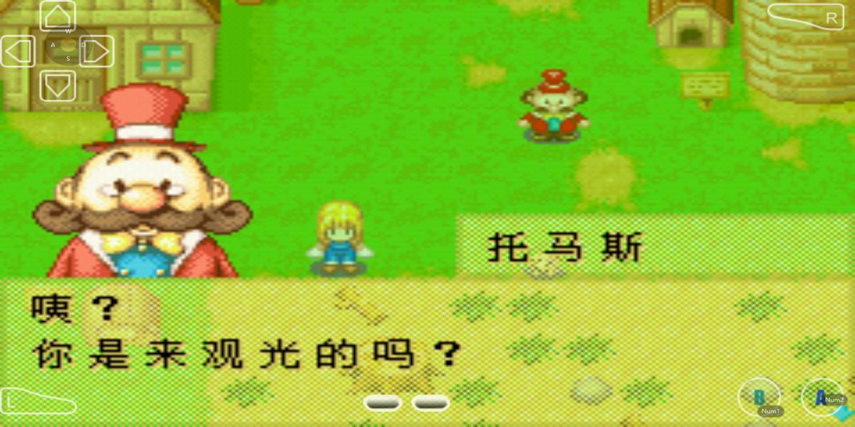 牧場(chǎng)物語(yǔ) v2.0.1 安卓版 1