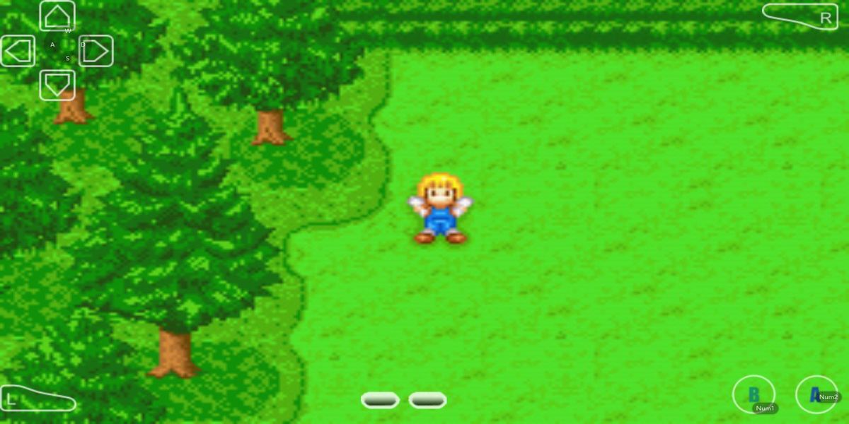 牧場(chǎng)物語(yǔ) v2.0.1 安卓版 2