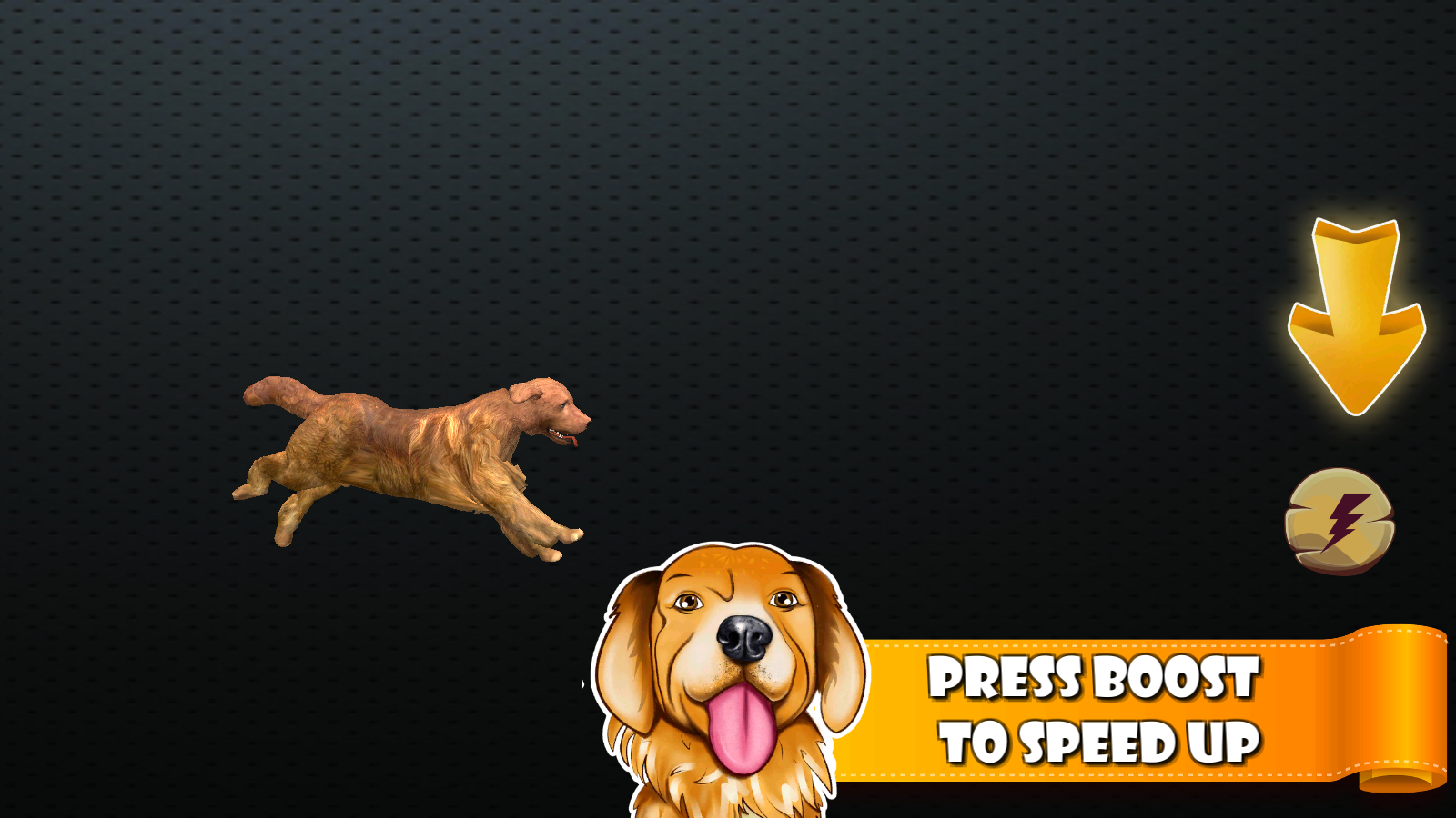 狗狗運(yùn)動(dòng)會(huì) v1.1 安卓版 0