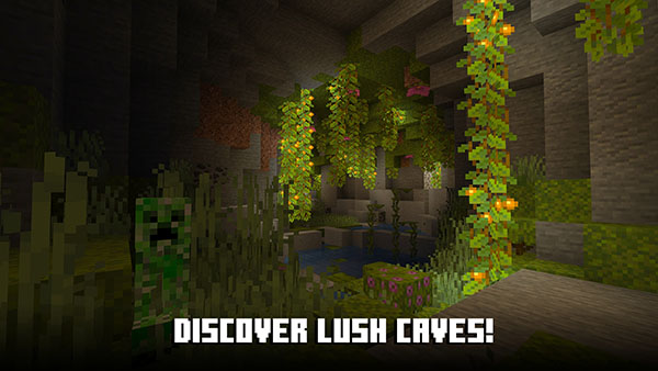 我的世界0.17.2測試版(Minecraft Pocket Edition) v1.21.101.1 安卓最新版 3