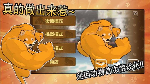 動(dòng)物之斗最新版 v1.0.2 安卓版 0