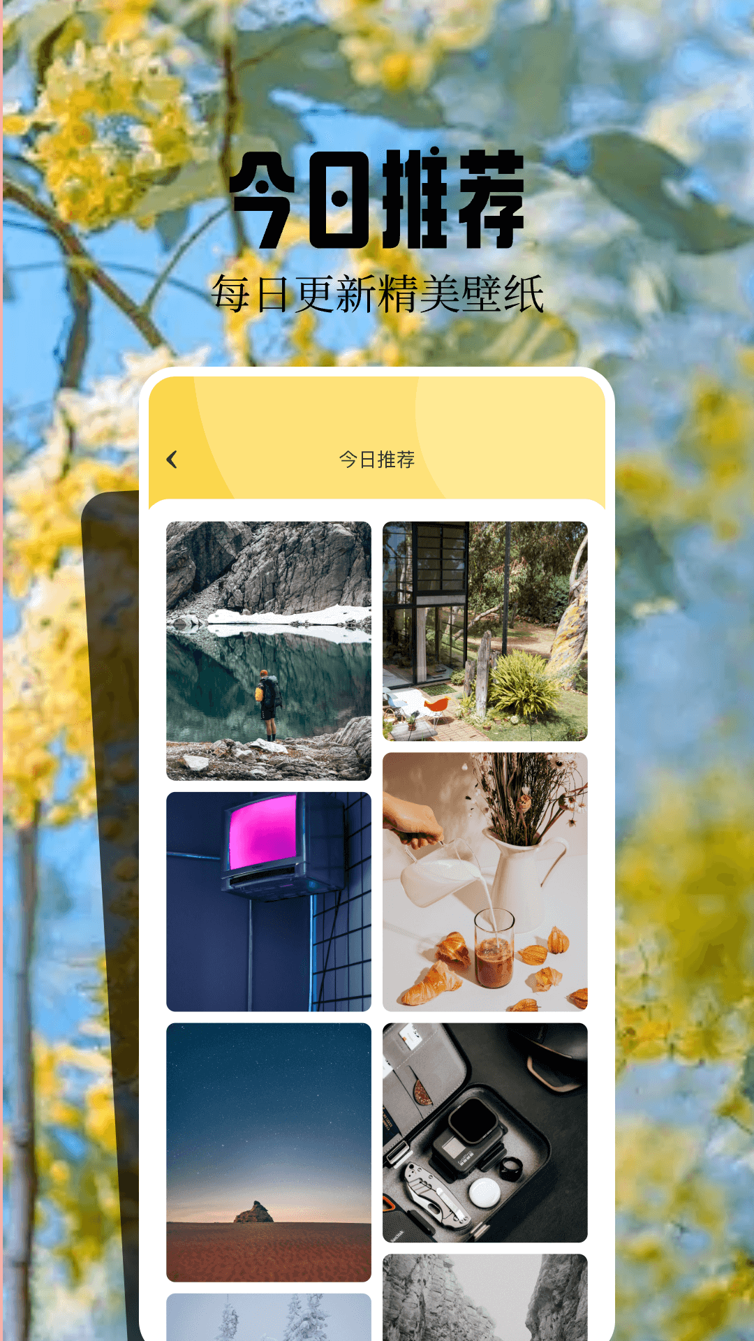桌面壁紙精靈 v1.4 3
