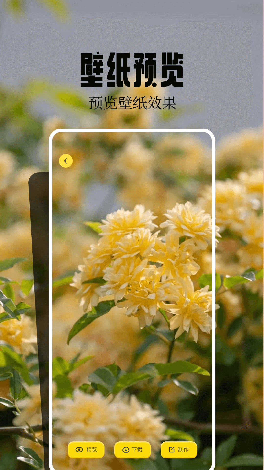 桌面壁紙精靈 v1.4 0