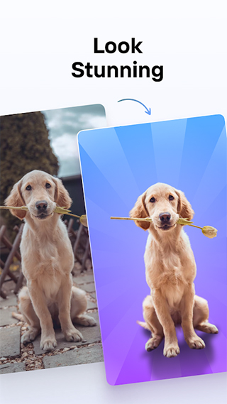 photoroom最新版 v2025.38.03安卓版 3