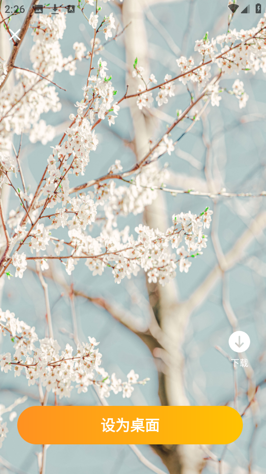 元?dú)馐謾C(jī)壁紙 v1.0.0 0