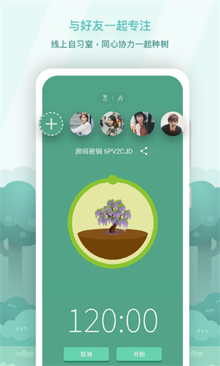 Forest保持專注2