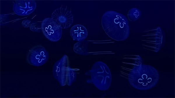 養(yǎng)魚場3中文版 v1.18.8.7180 3
