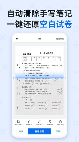 蜜蜂試卷正版0