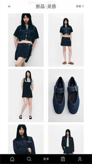 ZARA v17.6.1 1