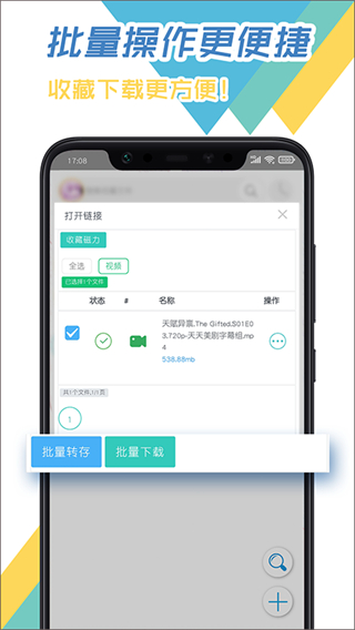 飛鳥下載器app v3.96官方最新版 0