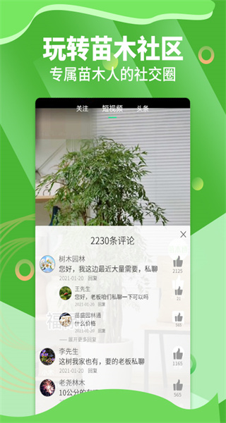 苗木通 v6.0.1 安卓版 2
