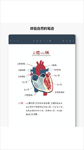 noteshelf免費版app v9.0.9官方版 0
