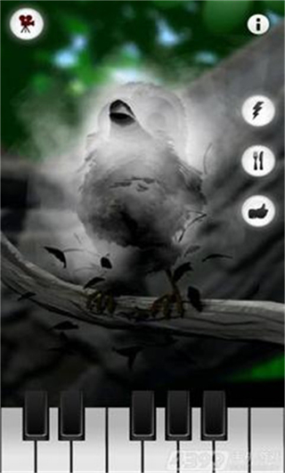 會(huì)說話的拉里鳥正版 v1.1.5 1