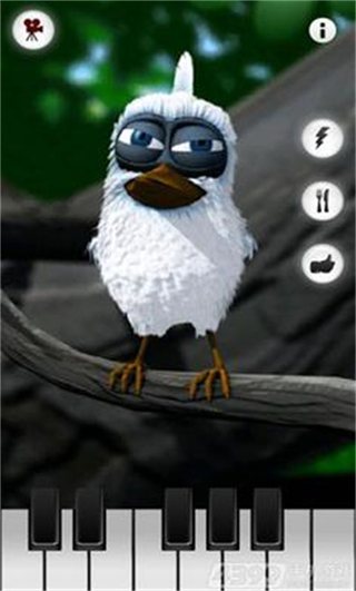 會(huì)說話的拉里鳥正版 v1.1.5 2