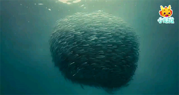 小伴龍海洋世界游戲 v1.15.2 安卓版 2