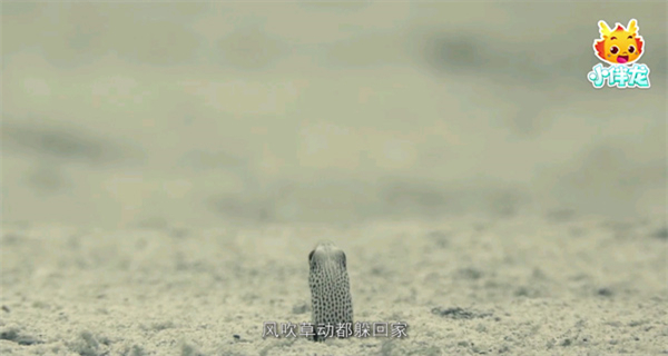 小伴龍海洋世界游戲 v1.15.2 安卓版 1