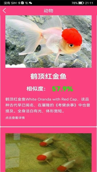 拍照識花神器手機(jī)版 v5.6.7 安卓版 2