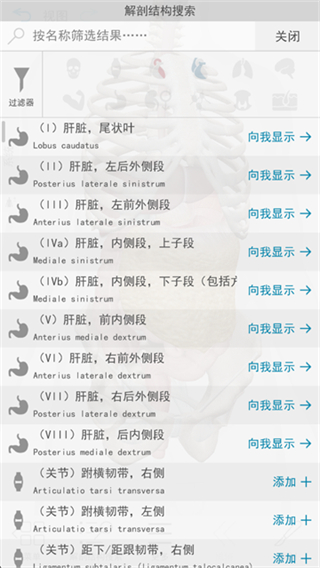 人體解剖學(xué)圖譜 v2026.00.019 3