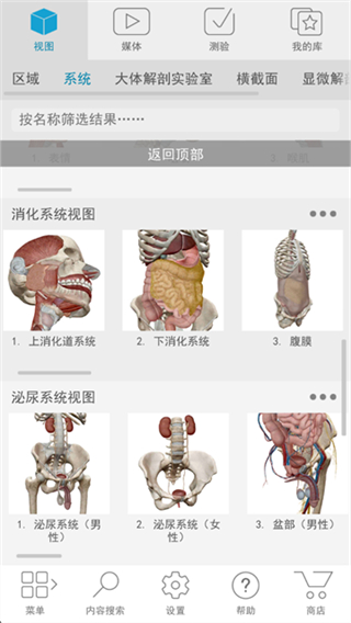 人體解剖學(xué)圖譜 v2026.00.019 2