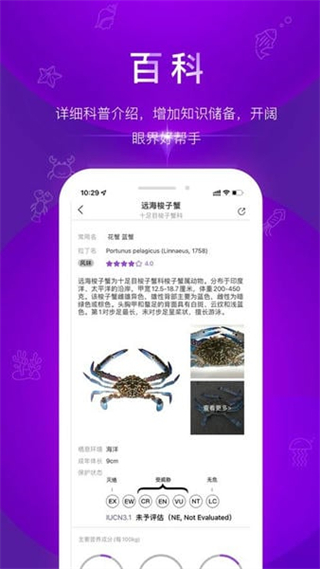 問魚最新版 v2.0.5 官方版 0