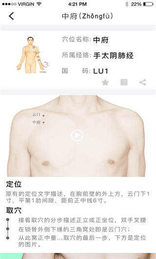 綠色版本灸大夫(經(jīng)絡(luò)穴位圖解) v6.5.1 安卓最新版 2