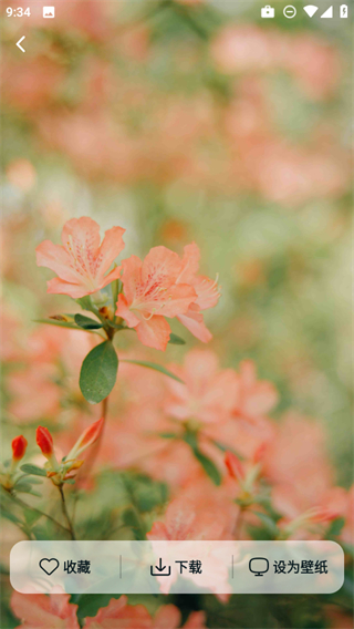 靈蝶壁紙 v1.0.0 0