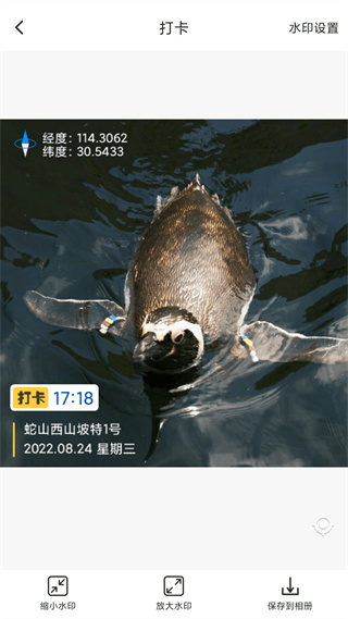 打卡定位 v1.4.8.04120619 0