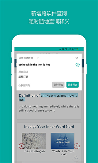 必應(yīng)詞典網(wǎng)頁版 v6.6.8 2