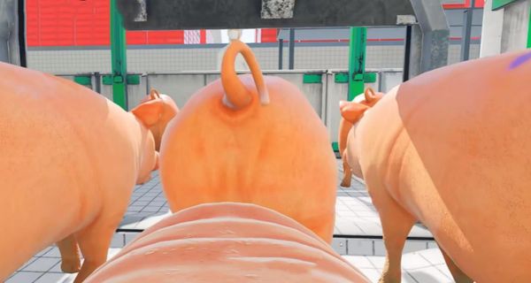 豬豬大冒險 v1.0 2