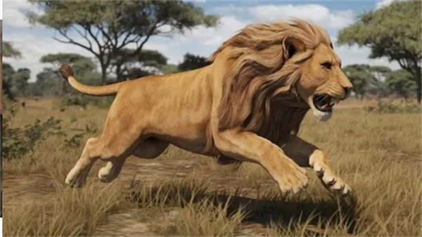 動(dòng)物模擬狩獵免廣告版本 v1.0.3 1