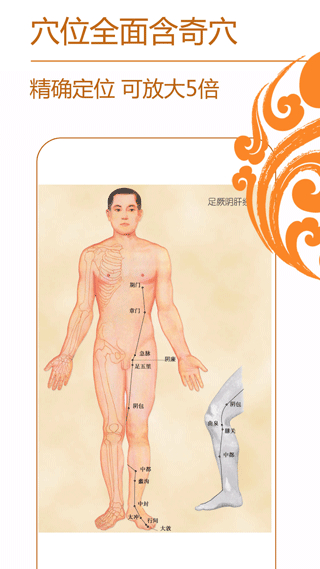 經絡養(yǎng)生專業(yè)知識 v4.0.2 安卓版 0