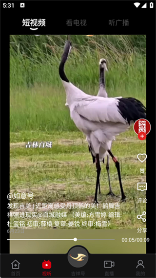 吉林融媒 v6.1.10 3