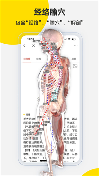 3Dbody解剖 v8.8.72 2