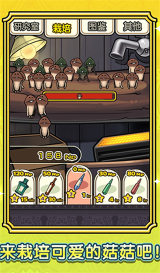 蘑菇花園最新版 v1.0.0 1