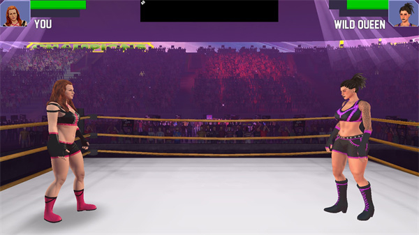 美女摔跤模擬器內(nèi)置菜單版 v6.1 0